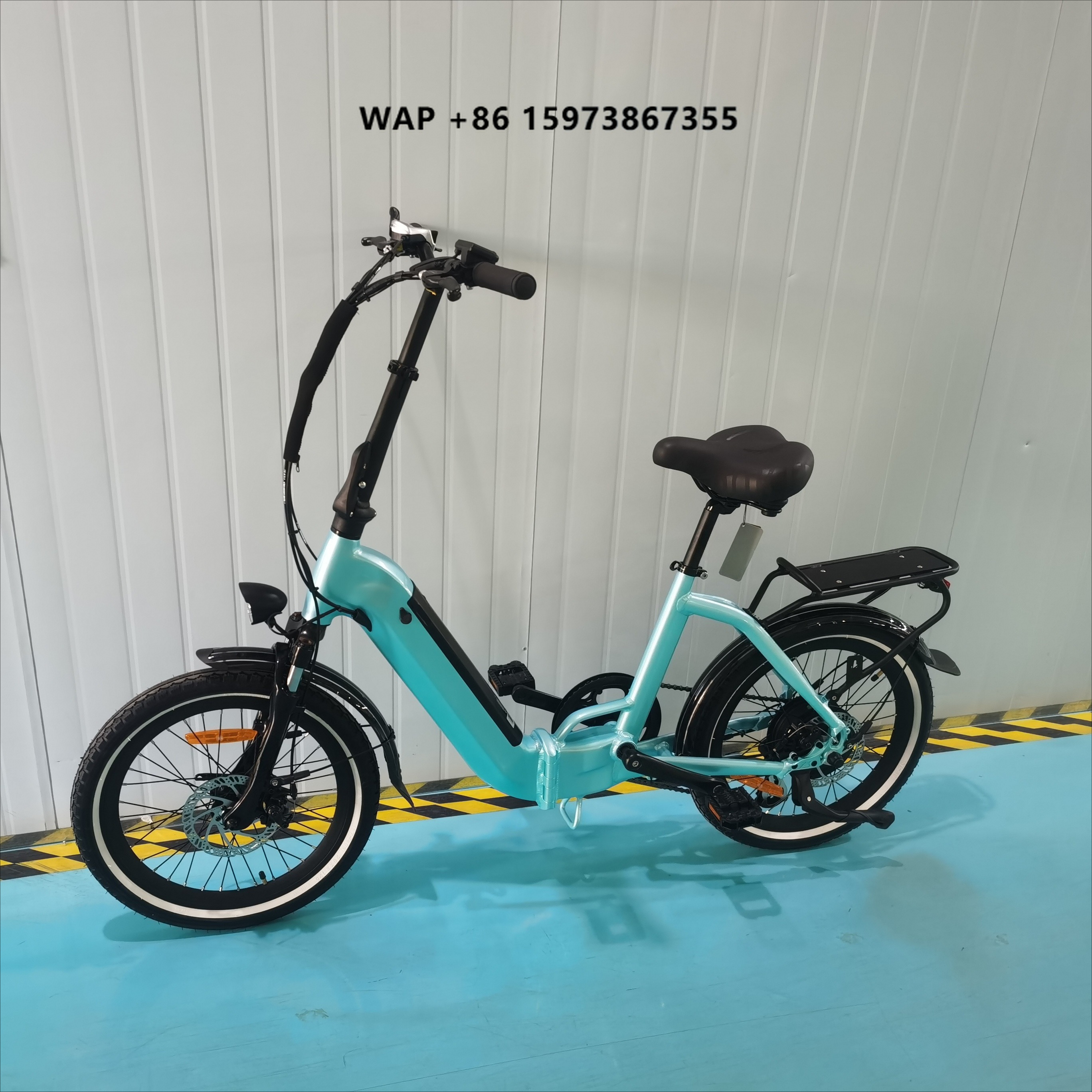 Brushless Motor - Customization OEM ODM Folding Electric Bike